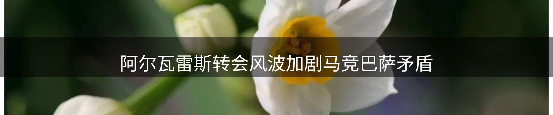 资讯汇集